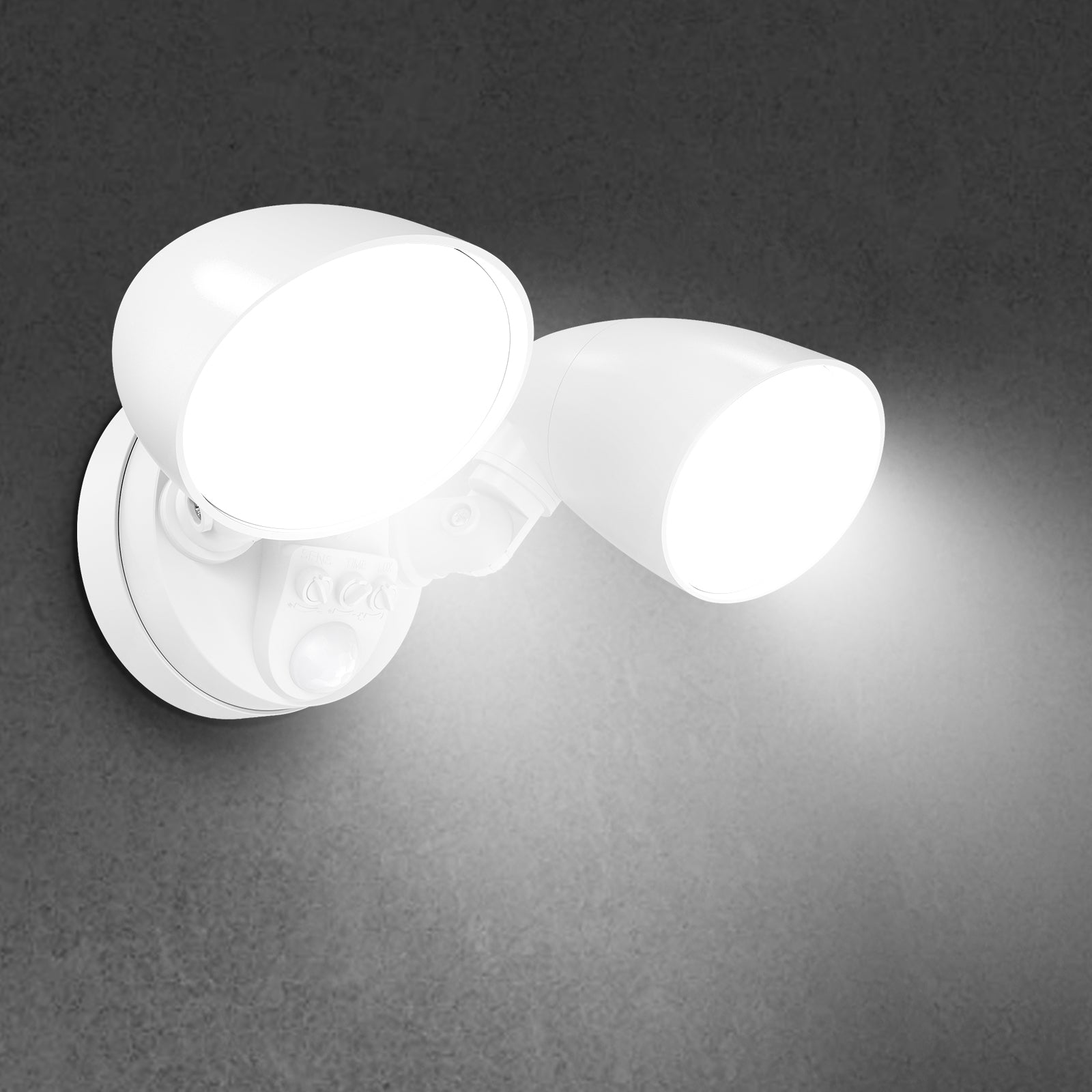 Security Light – Deerdance