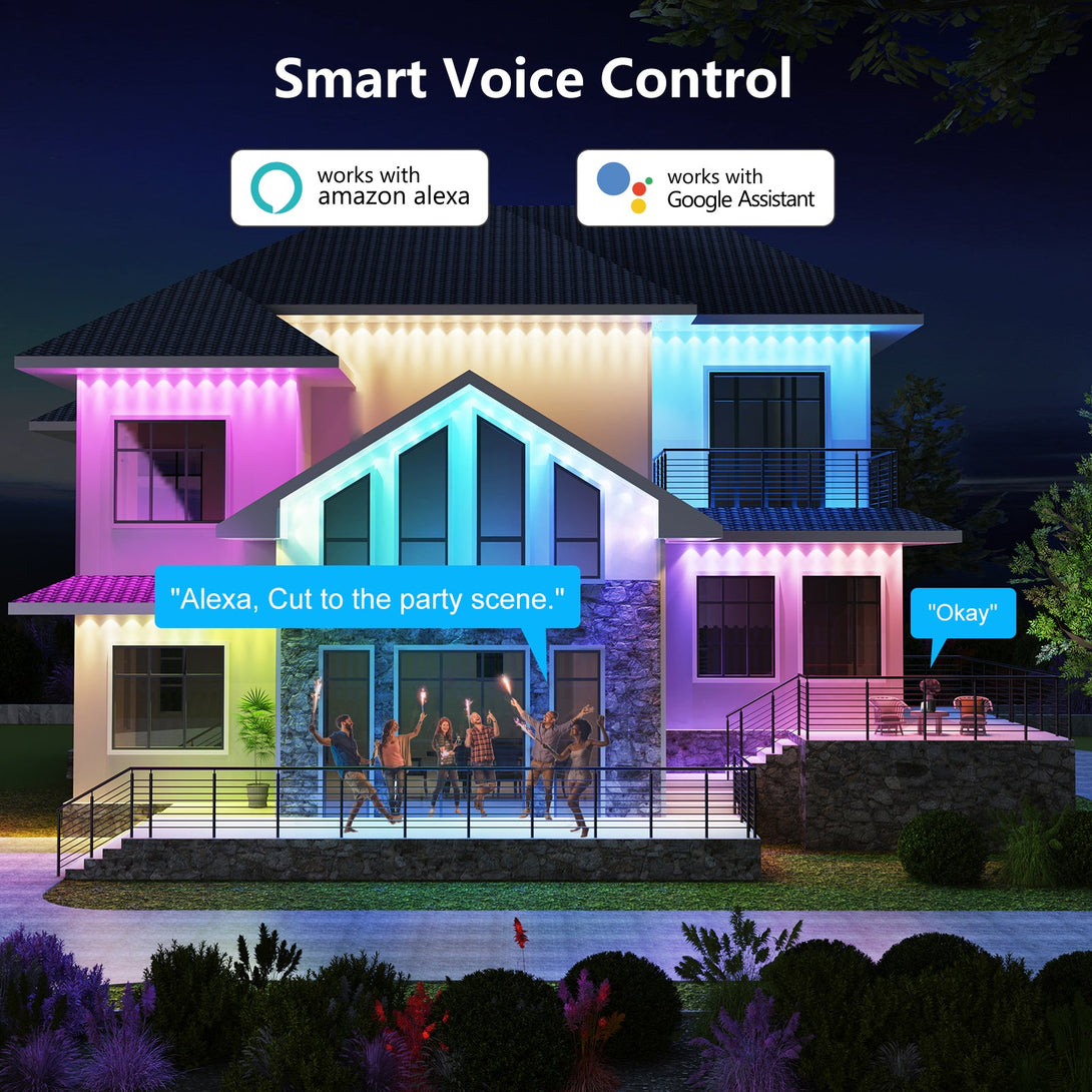 smart voice control